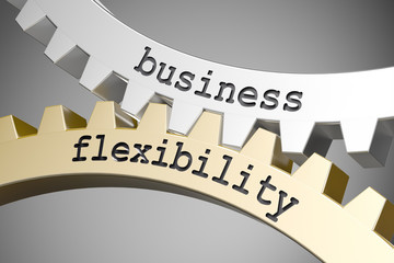 Flexibility